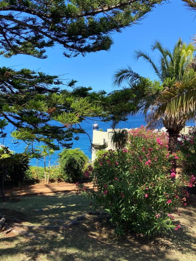 Seashell Caracas Lejlighed Funchal  Eksteriør billede
