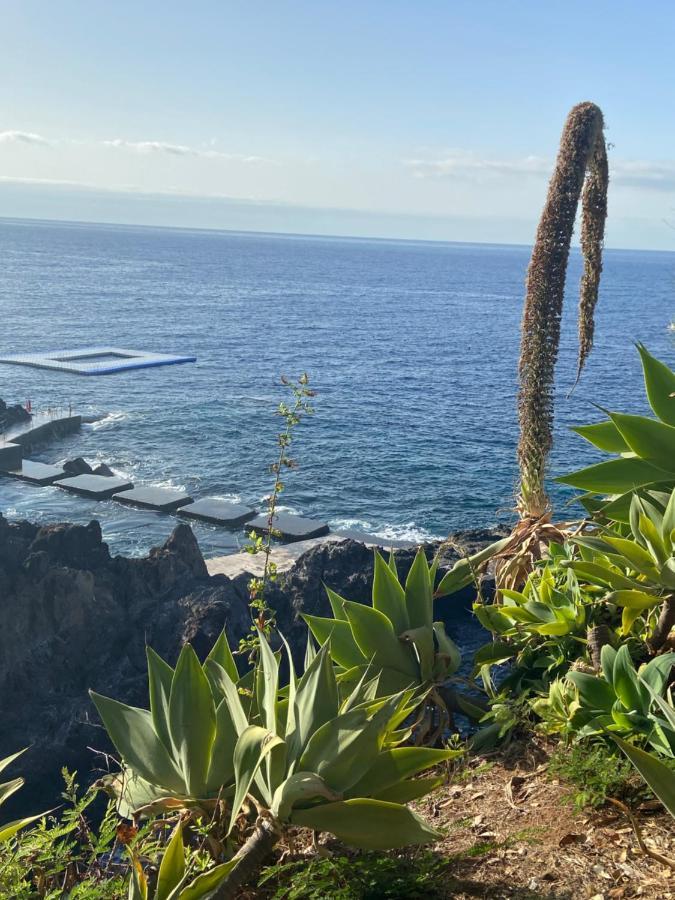 Seashell Caracas Lejlighed Funchal  Eksteriør billede